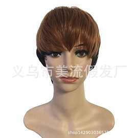 跨境假发wish 欧美亚马逊 高温丝 假发女短发蓬松卷发外贸假发