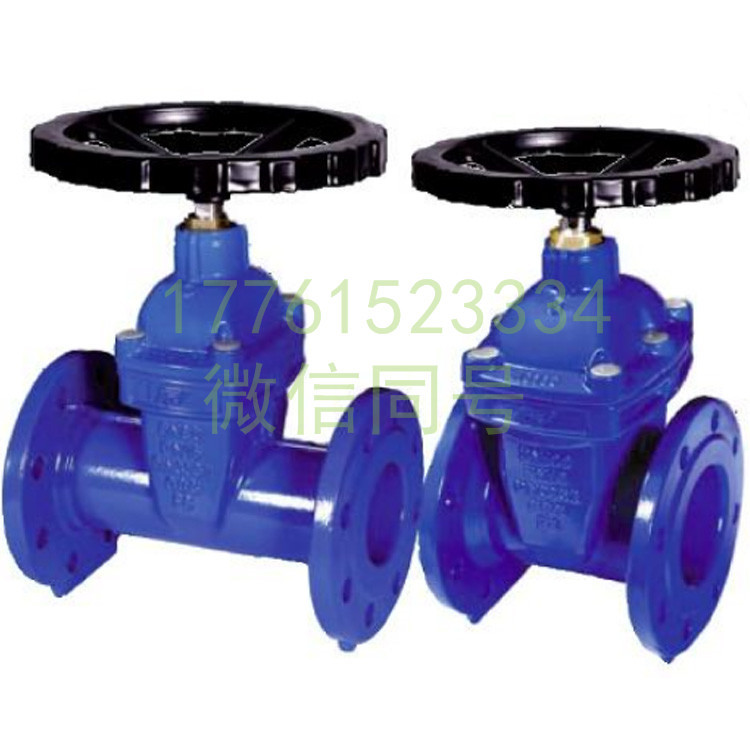 gate valve (3)