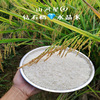 Sunward Diamonds crystal Beige Brown rice rice Farm Whole grains Nutrition Healthy Hybrid Rice