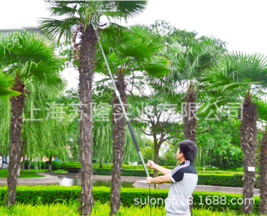 绿化园林园艺工具 沃施4米高空剪刀锯  1419可伸缩修粗树枝手锯