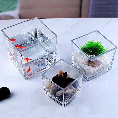 Blown fashion square Mingshui Square cylinder Simplicity thickening originality Simplicity Water to keep transparent Flower pot