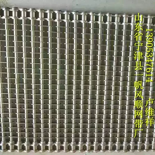超声波自动清洗机用眼镜网带 超声波沉降机网链 金属片输送带