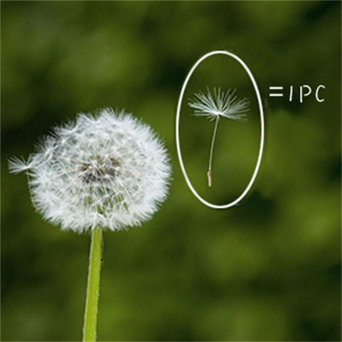 O1CN011Dt4awxAlZjcD6h_!!390570