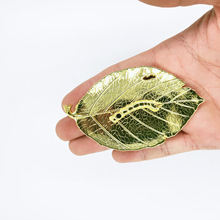 �S��ֱ�N ������~��������l ���S���~��y��P�c�����Ͻ���޹�t