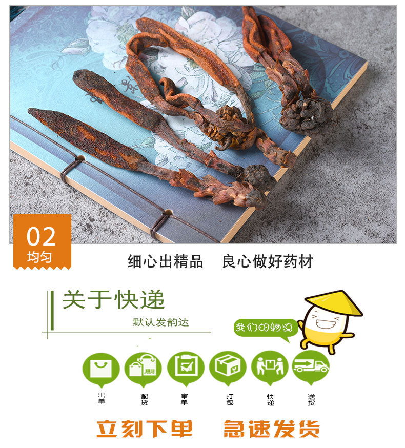 Hui Chun Cao (Boschniakia rossica) — Dried Whole Food Herb for Wine Infusion & Decoction quality and texture