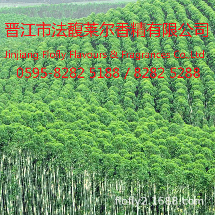 桉树香精，丁香香精，艾叶香精，等各种日化用途药香香精