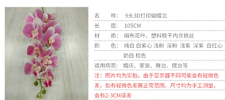 3D打印蝴蝶兰_03