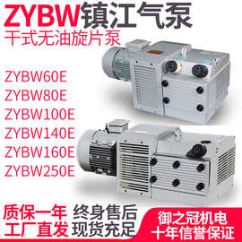 镇江通优旋片式真空泵ZYBW60E/80E/250E/140E干式无油抽气泵