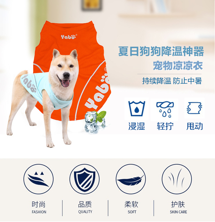 详情切片