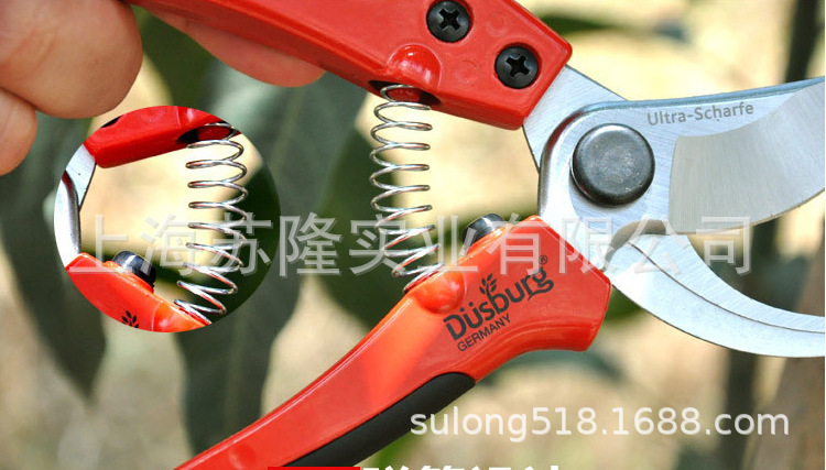 德国德狮宝012园艺剪刀 园林粗枝剪 修树枝剪刀 修枝剪 果树剪
