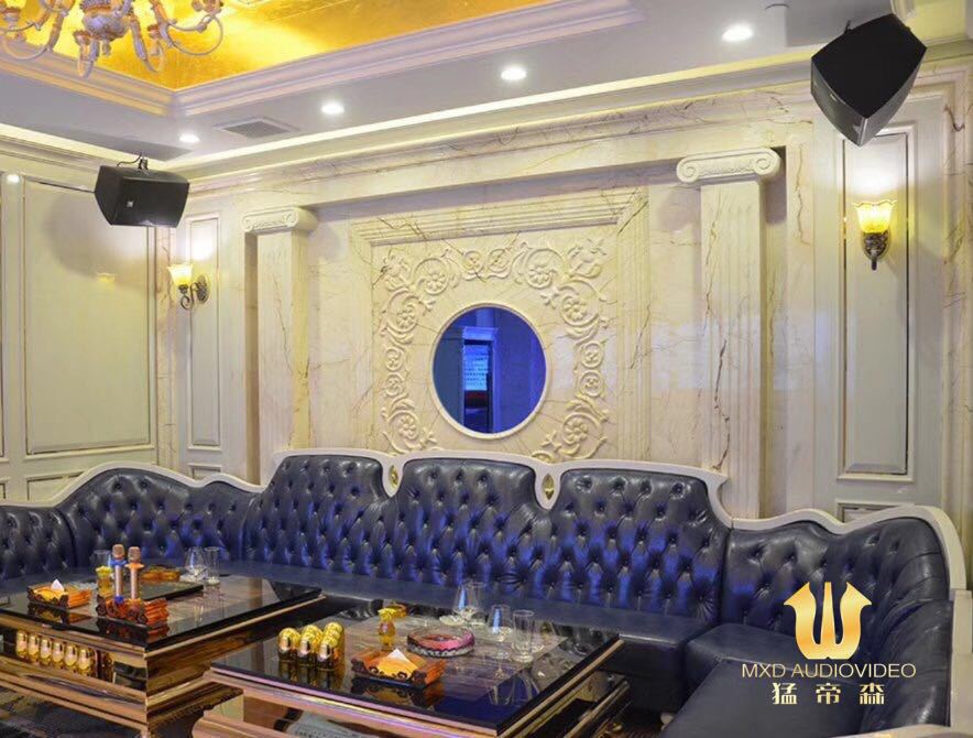 厂家批发ktv专业音响家庭会议卡拉OK套装 专业卡包音响包房设备