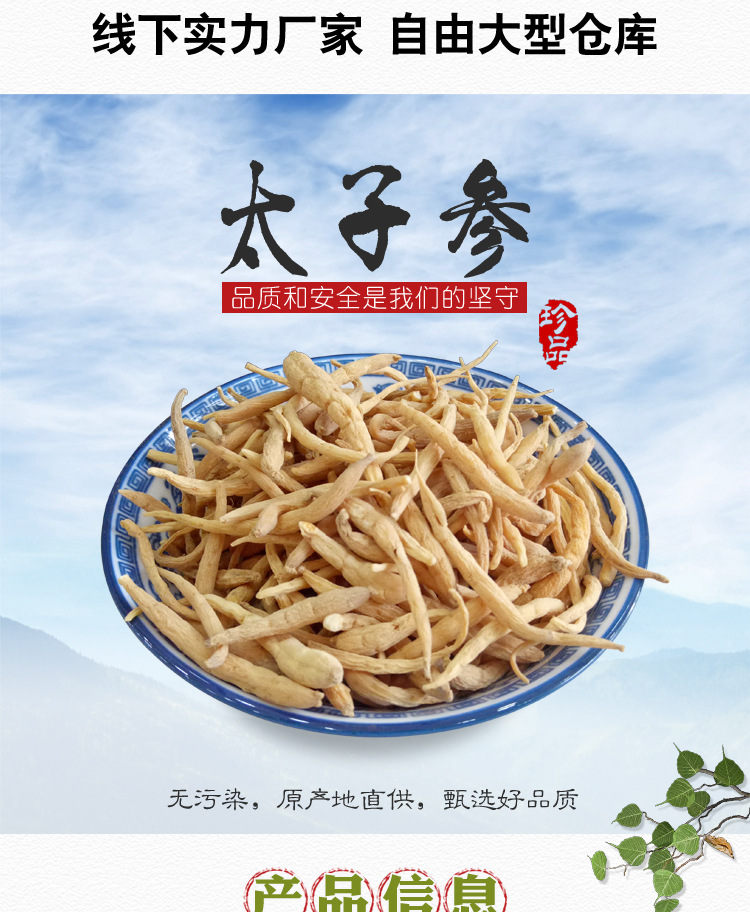 Taizishen Dried Prince Ginseng Root TCM Herb New Crop 500g overview