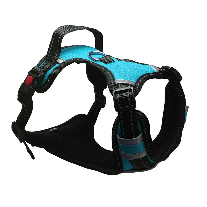 Dog Harness Image 3