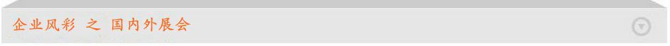 企业风彩之展会