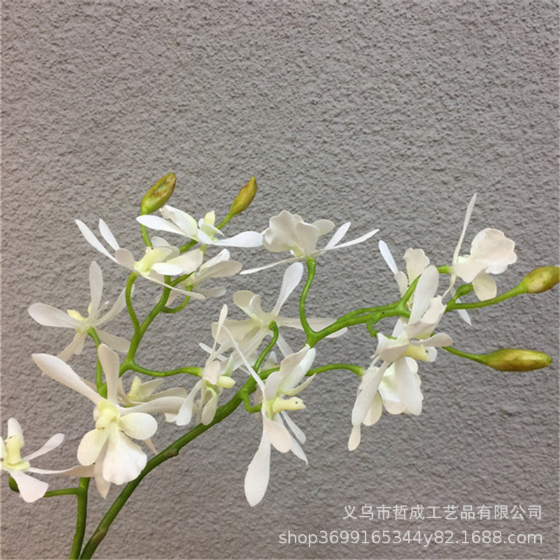 O1CN01BcTzjZ2L9IBvAyaOJ_!!6834