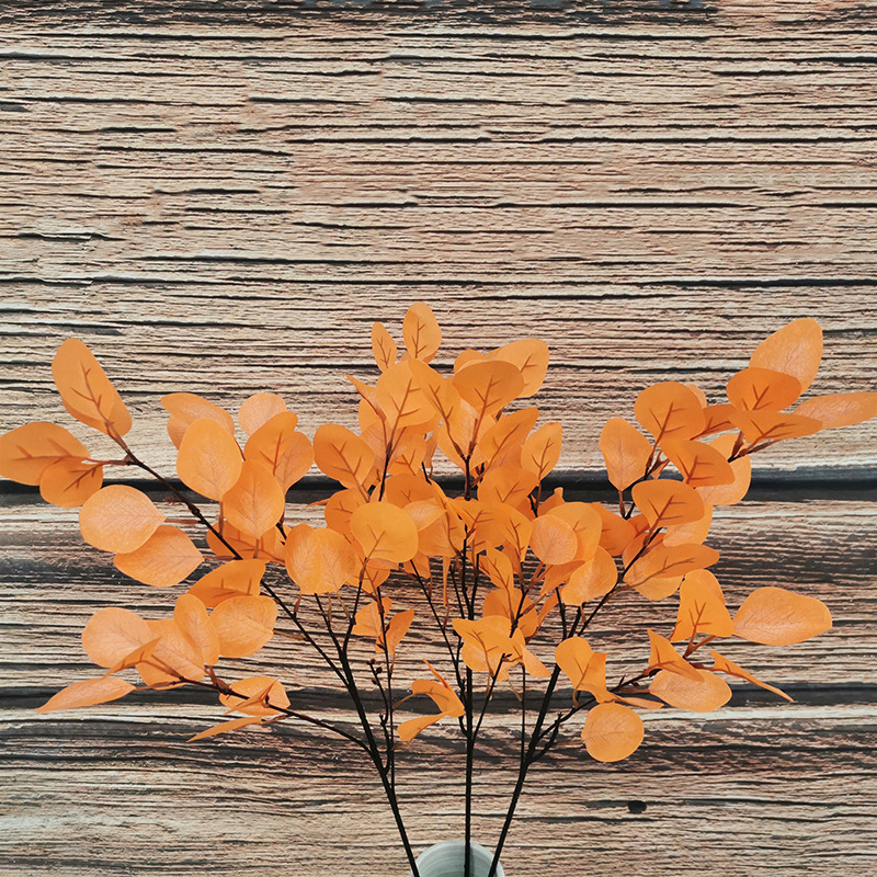 11196590863_1611482457