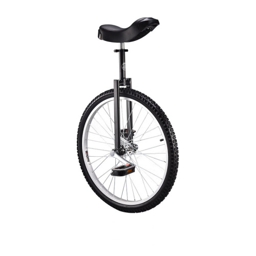 Direct Sales from Manufacturer: 24-inch Single-Wheeled Self-Balancing Bicycle for Commuting and Acrobatics