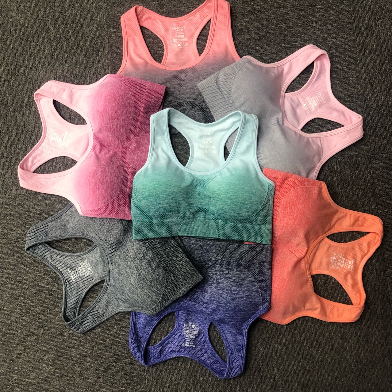 +sport支持跨境電商漸變運動文胸鲨魚款瑜伽文胸運動休閑文胸