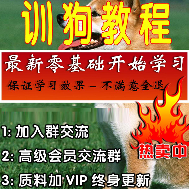 全套训犬视频教程一对一指导金毛泰迪马犬德牧专业训练养狗狗视频|ru