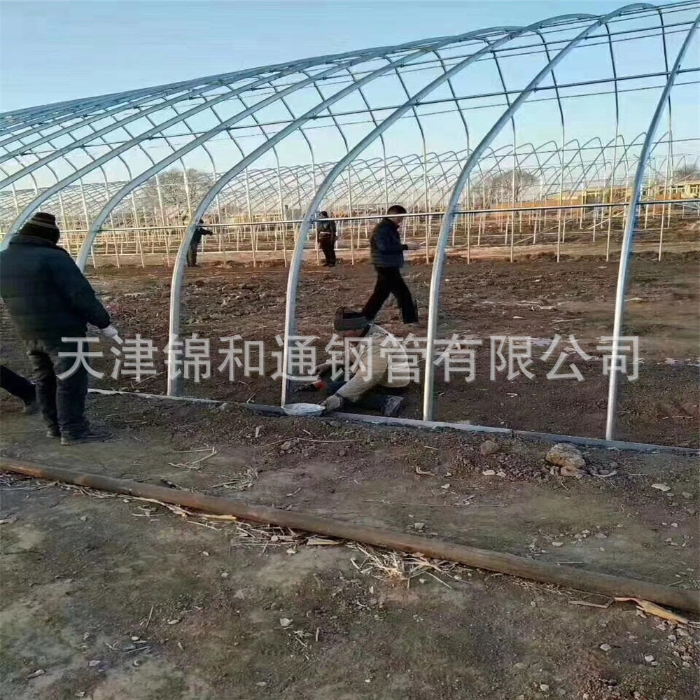 温室大棚管Q195 蔬菜大棚管30*60 大棚骨架 镀锌椭圆管定尺生产