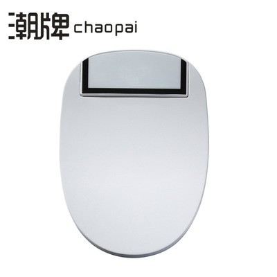 工程酒店OEM智能馬桶蓋即熱自動清洗烘幹潔身座圈加熱電動坐便器