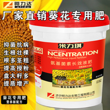  Û_ʩ oֱPM ЙC̼̼ø