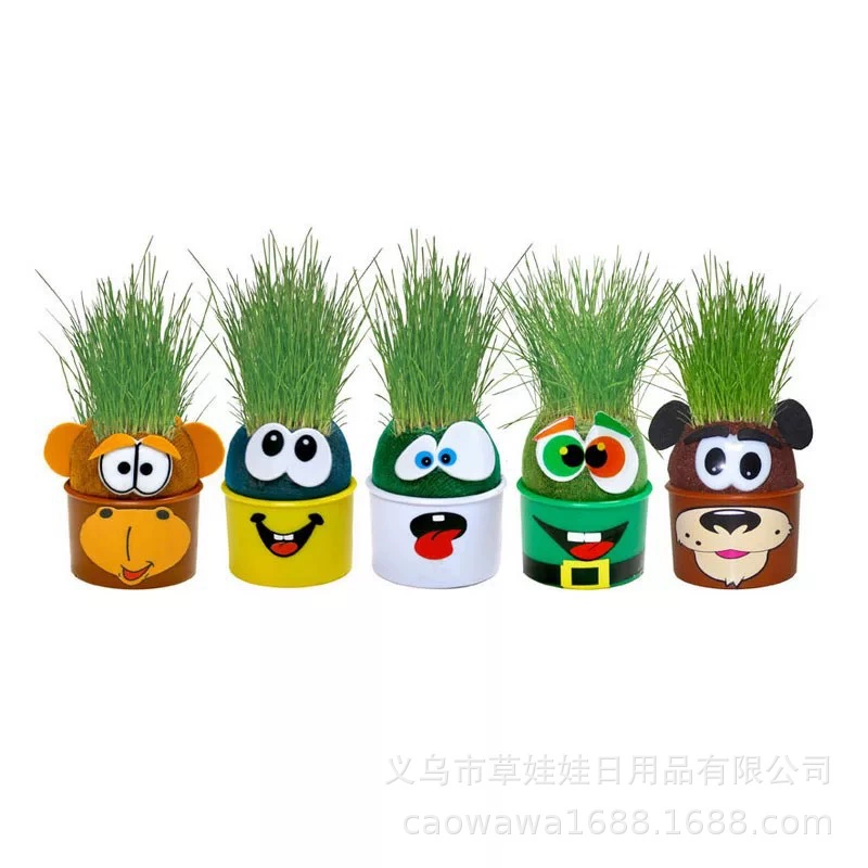 Посадка длинной травы Одноглазый Дракон Трава Кукла горшок продукт подарок офис маленький горшок
