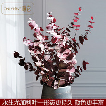 �������ȼ����~���~�~�X���滨ins���W�͏dܛ�b�diy�廨�S�����l