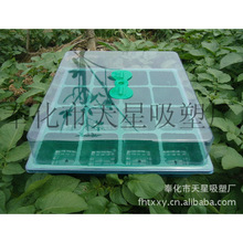 ����16������P ���ܰ��b����� ������