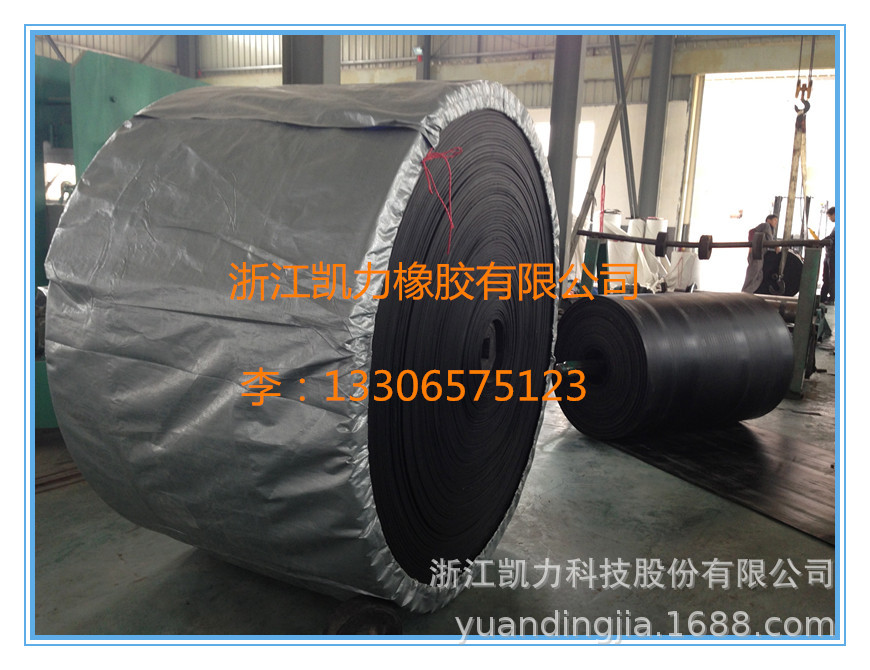 专业生产尼龙橡胶输送带生产厂家