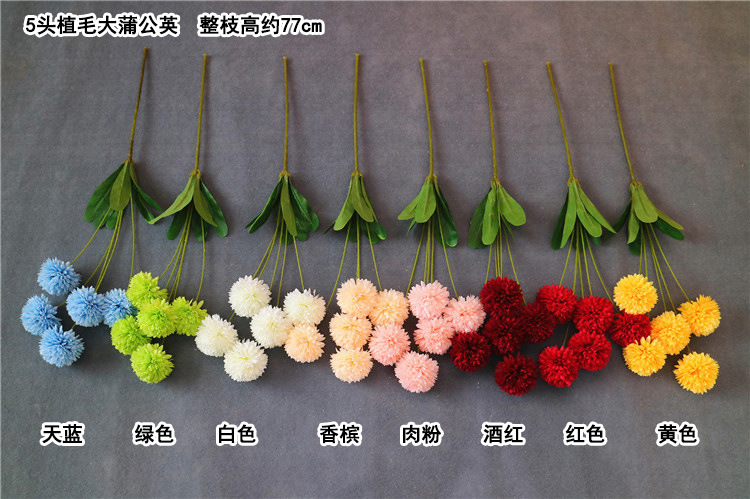 5头植毛大蒲公英 色卡 黑体.jpg