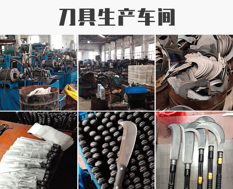 QQ图片20191007140507