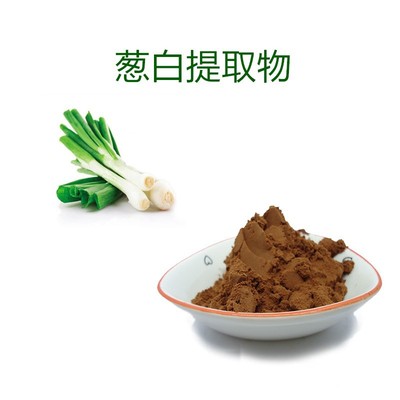 葱白提取物10:1 水溶性葱白粉 源头厂家直供 ** 葱白浓缩粉