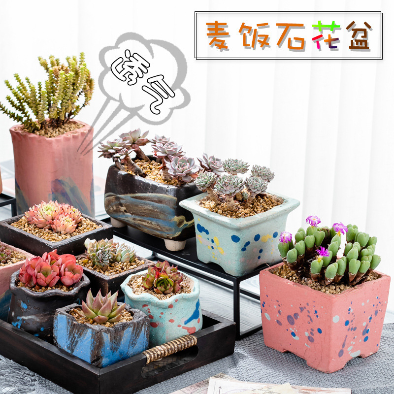 Creative personality burst coarse pottery Maifan stone succulent plant flowerpot simple small old pile clearance special factory outlet