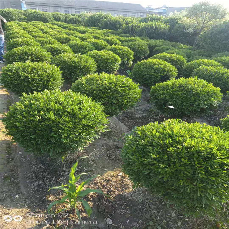 微信图片_20190924001123