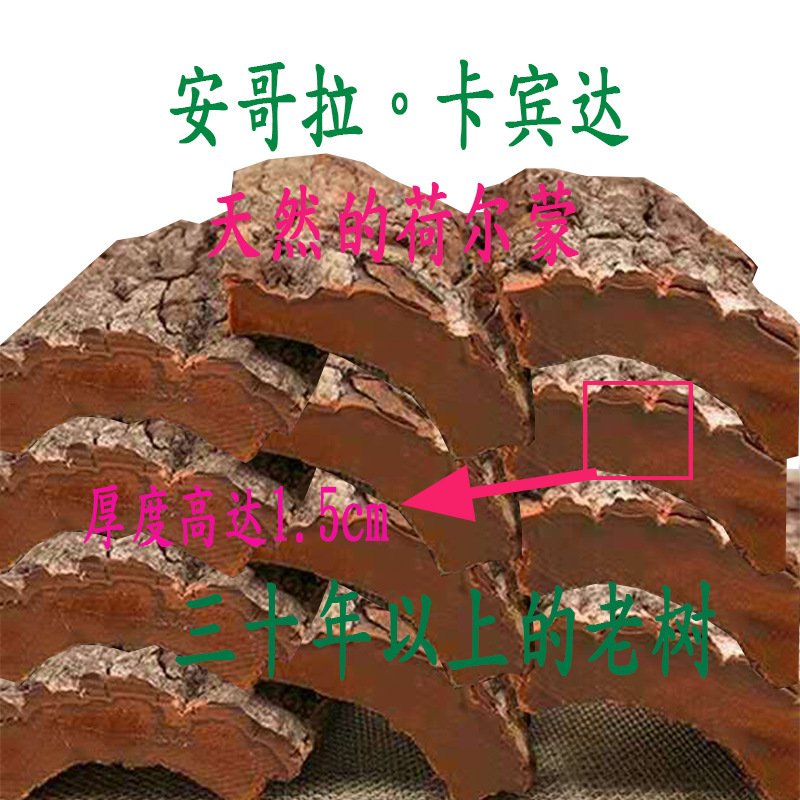 安哥拉卡賓達樹皮 男人泡酒 規格1.0cm至500g量大從優