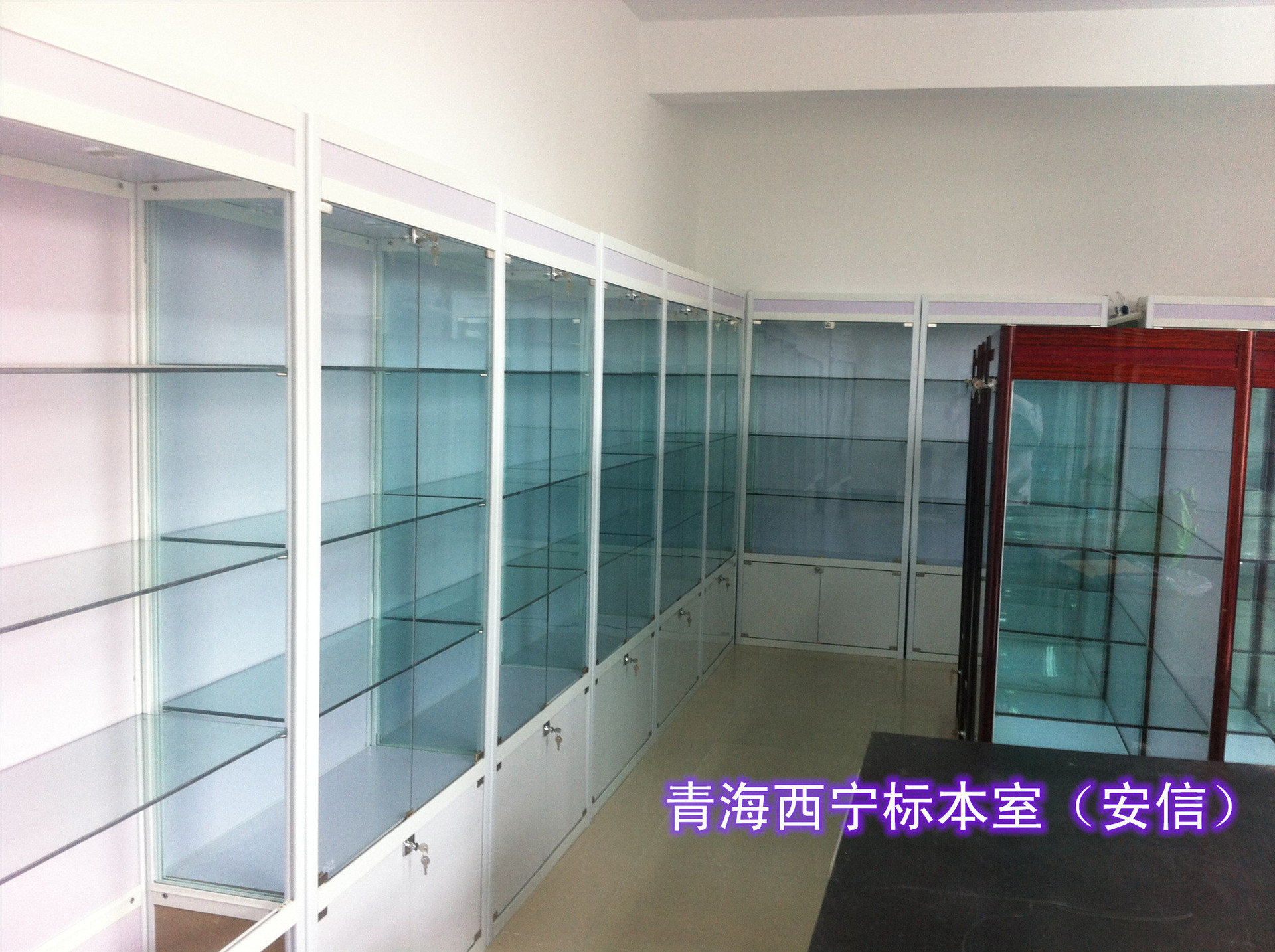 标本展示柜 不锈钢标本柜 标本陈列柜 动植物标本柜 移动标本柜-阿里巴巴