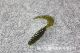 Soft Grubs Lures Soft Baits Fresh Water Bass Swimbait Tackle Gear