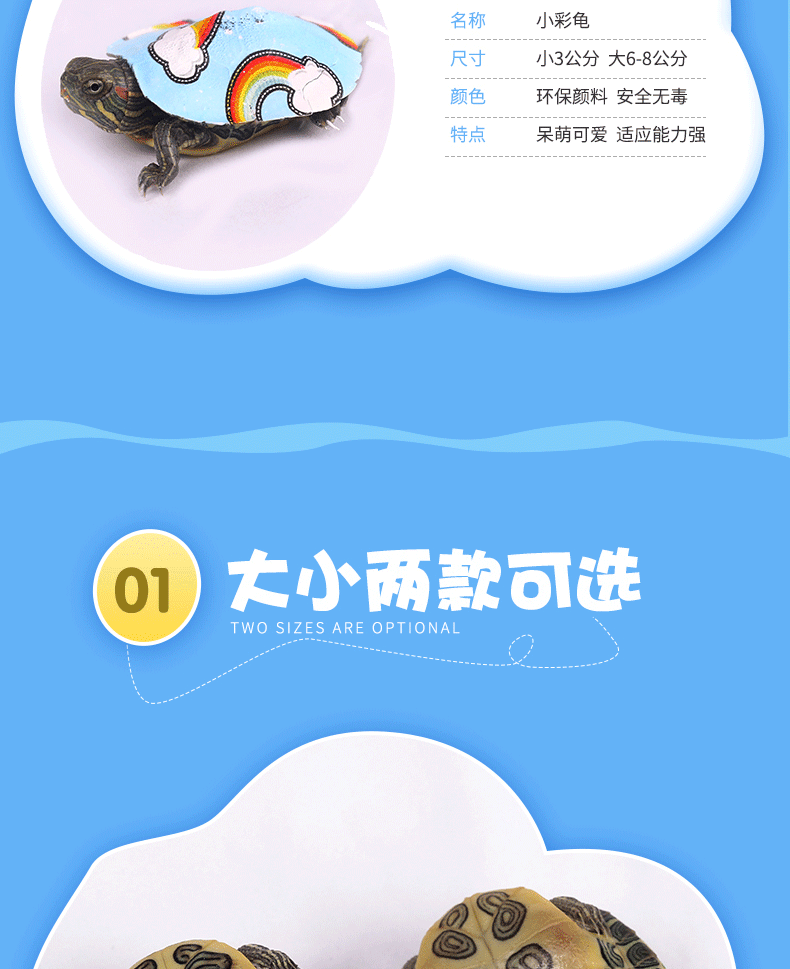 七彩小乌龟123_04