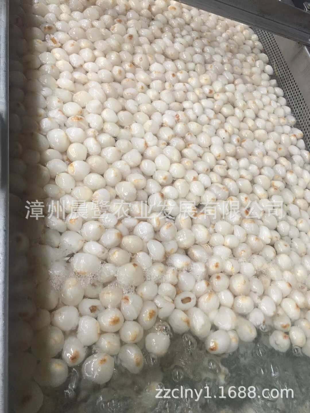 速冻荔枝肉 供应冷冻果蔬 速冻水果 厂家 速冻果蔬-阿里巴巴