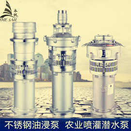 上海人民不锈钢喷泉泵QYF25-32-4油浸油式潜水泵 图片大全 参数