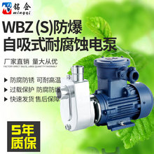 WBZS自吸式耐酸鹼微型電泵 316增壓泵 304食品衛生全不銹鋼自吸泵