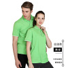 Colored polo, overall, T-shirt, custom made, wholesale