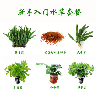 �~���b��쾰ˮ�ݻ��w���֑����쾰�ײ�С���~�N��Сˮ��ֱ�N���l