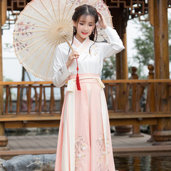 9979#2018 Spring Ethnic Traditional Hanfu Everyday V-Neck Blouse and Skirt Set with Towel Embroidery