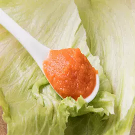 根菜类;其他调味品;洋葱