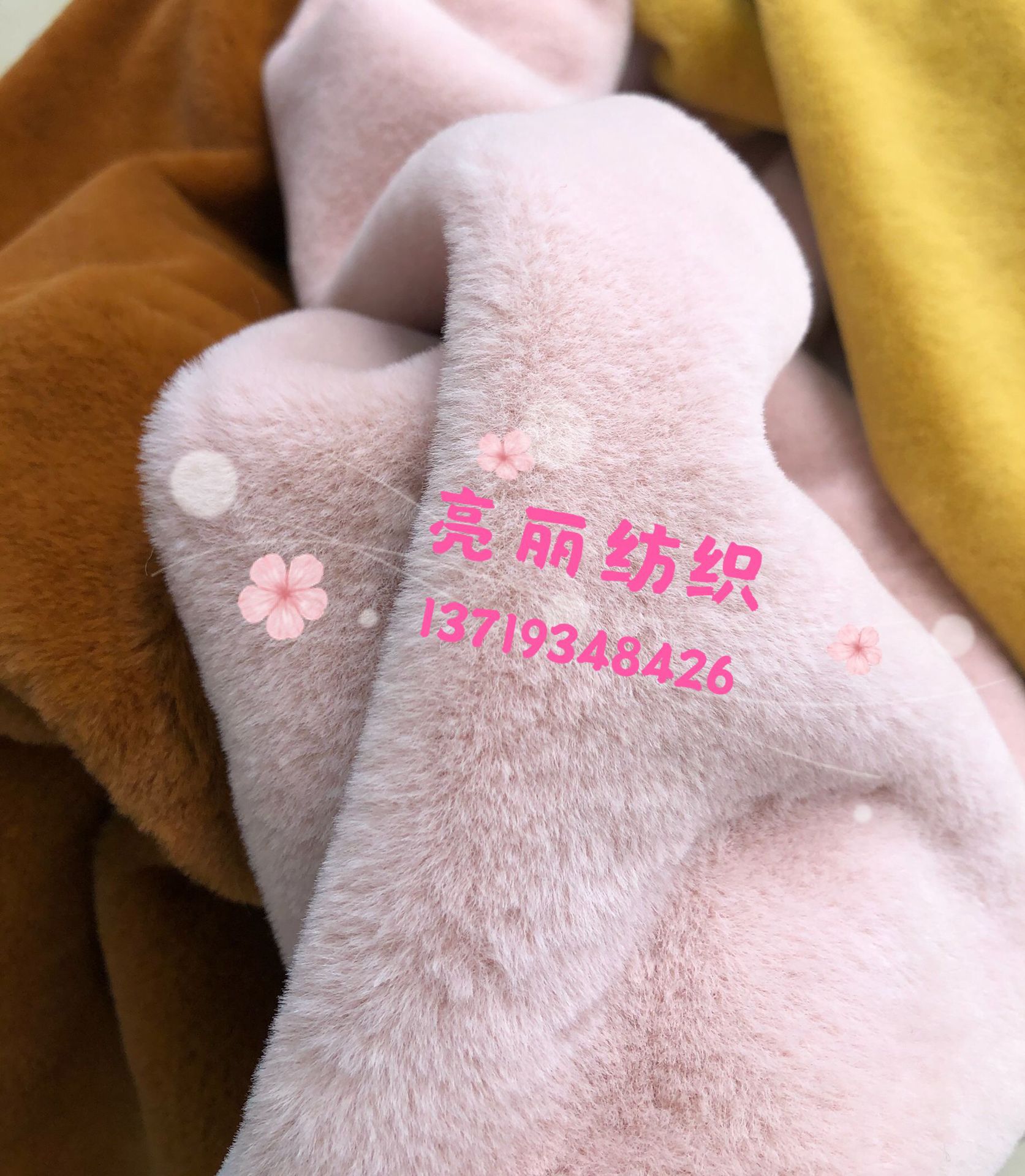 兔貂7