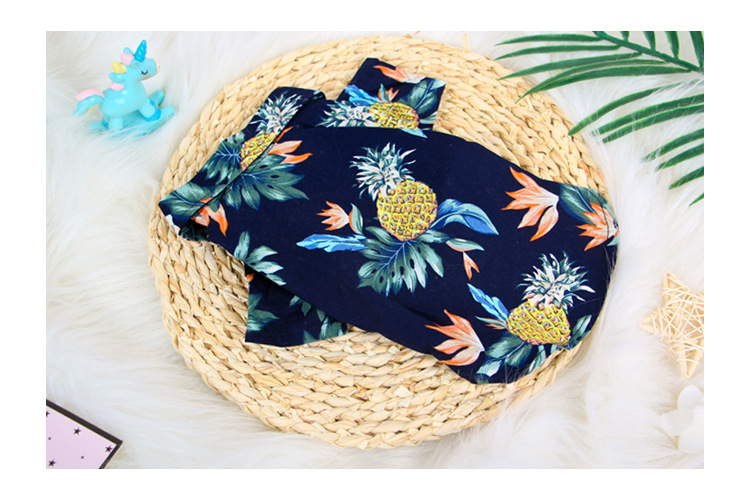 59g Weight Pet Clothing Type Of Pet Supplies 1 Piece Quantity Holiday, Daily Occasion Color Block Pattern Summer Season Casual Style Casual Cloth Color Block Pet Clothing 5