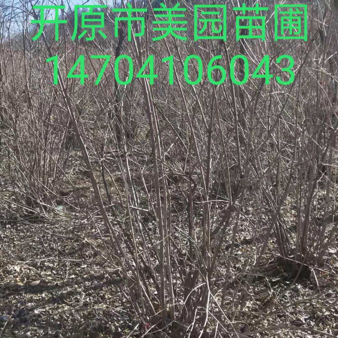 微信图片_20190312132842