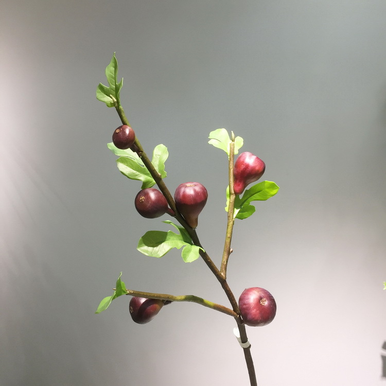 3-2酒红色无花果.JPG